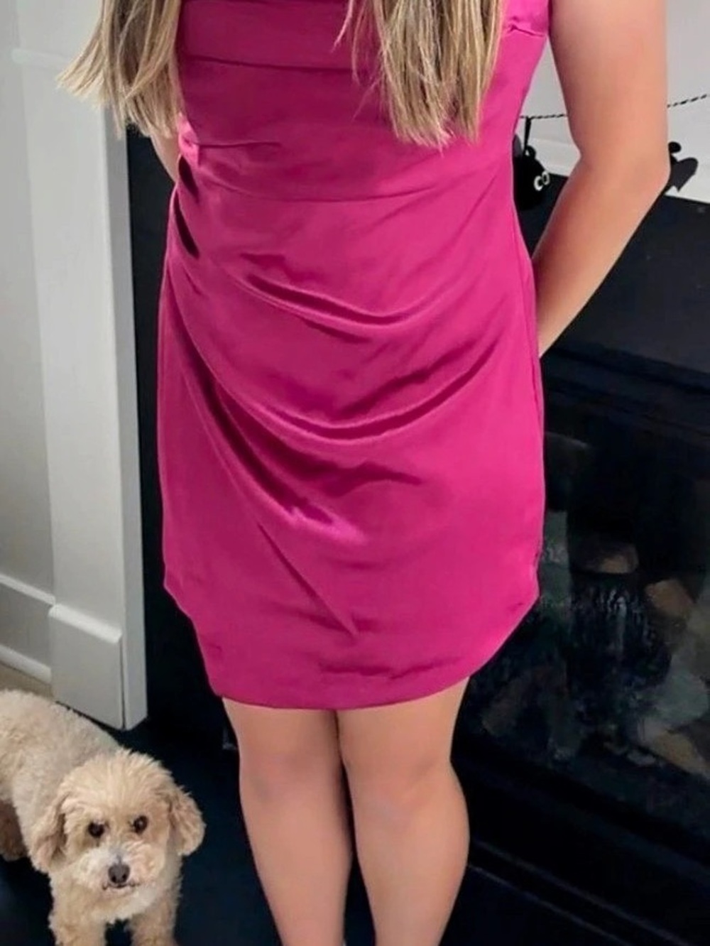 The Perfect Dress Pink Draped Mini Dress Like New